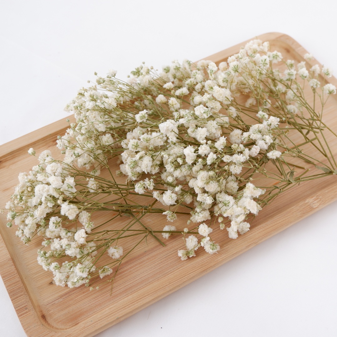 Florist Supply Vases - Dried Flowers White Mini Dried Babys