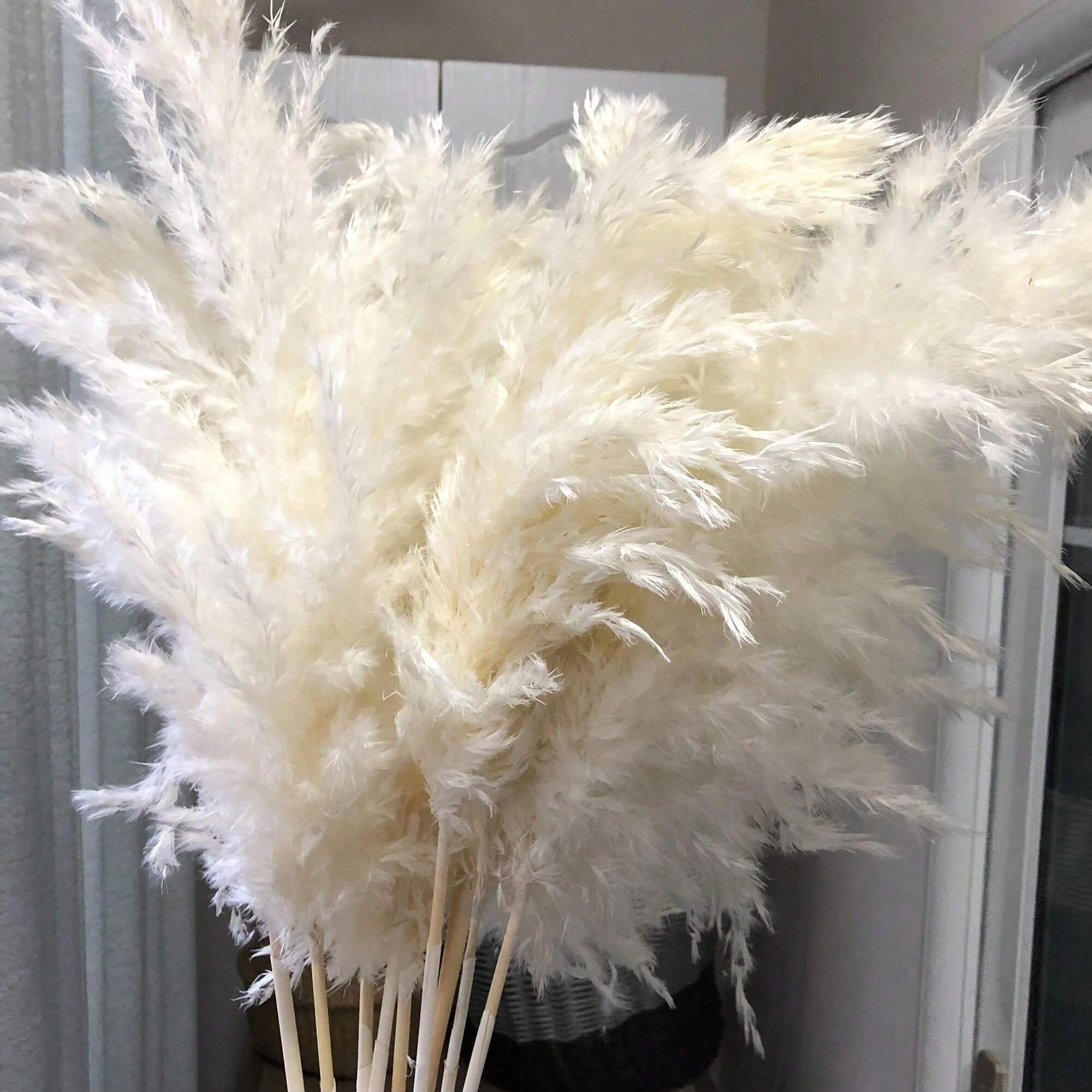 Florist Supply Vases - 10/20/30pcs White Artificial Pampas Grass Decor