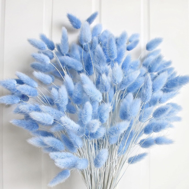 Florist Supply Vases - 100PCS Blue Hare's-tail Grass Bunny Rabbit