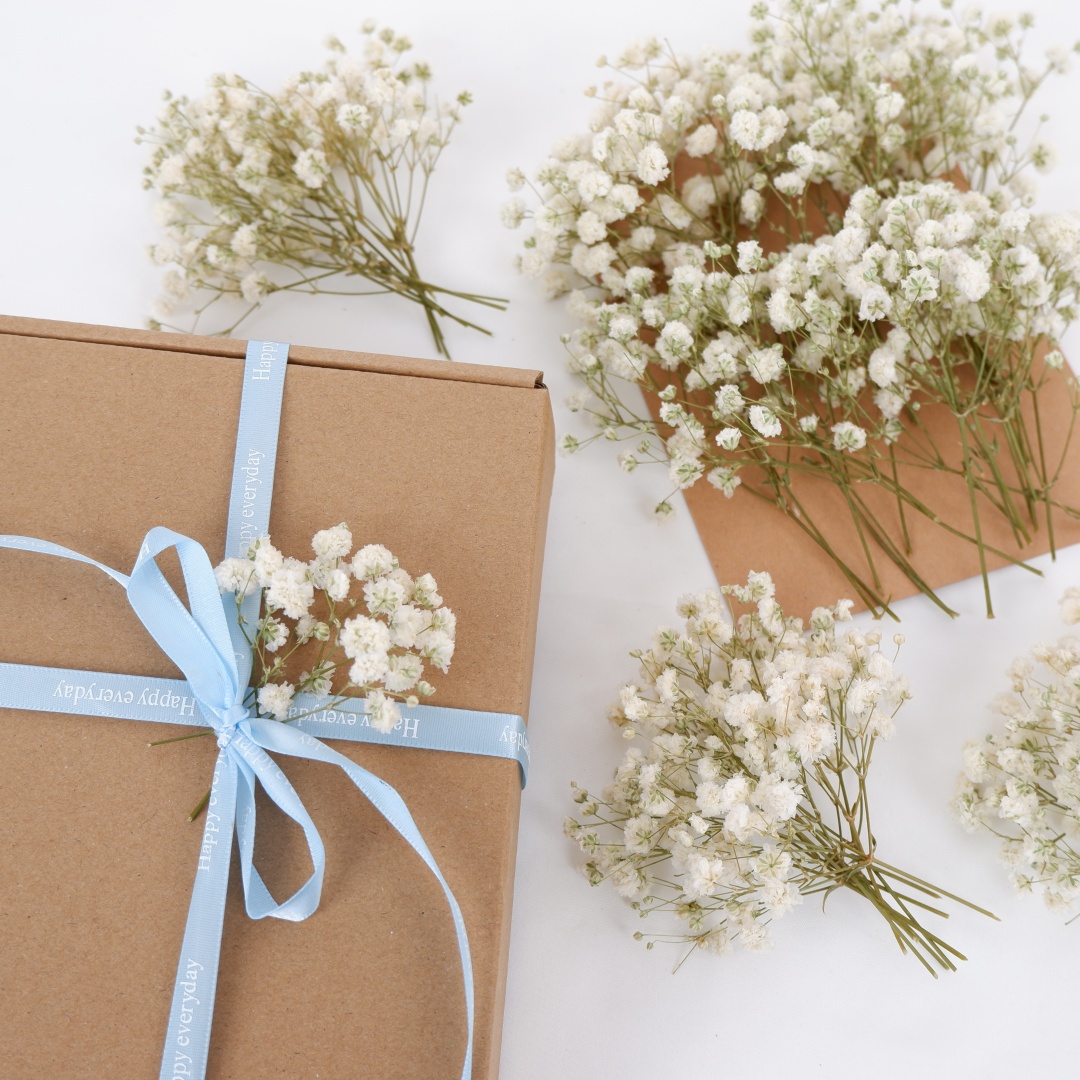 Dried Flowers White Mini Dried - Florist Supply Vases review and price