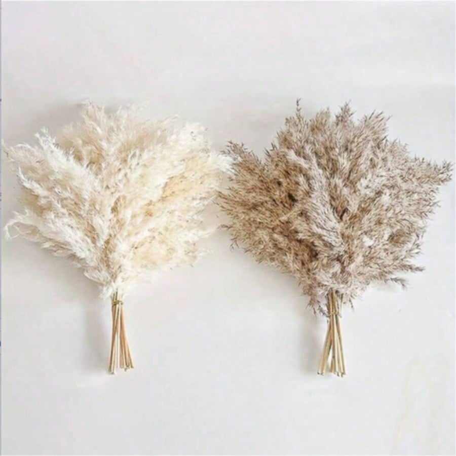 10/20/30pcs White Artificial P - Florist Supply Vases review and price