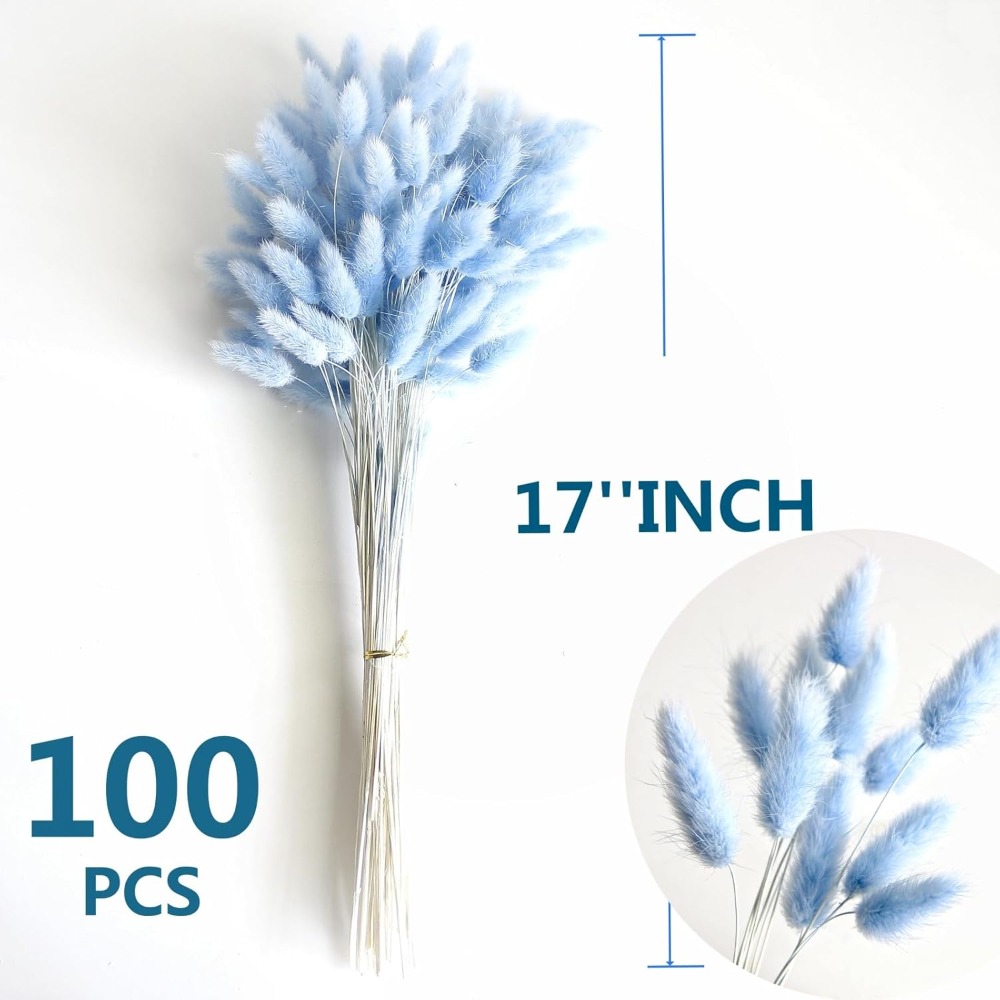100PCS Blue Hare's-tail Grass  - Florist Supply Vases review and price