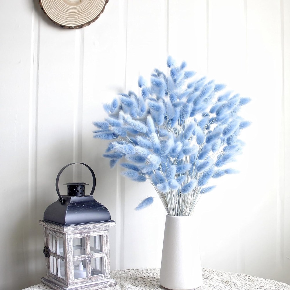 100PCS Blue Hare's-tail Grass  - Florist Supply Vases review and price