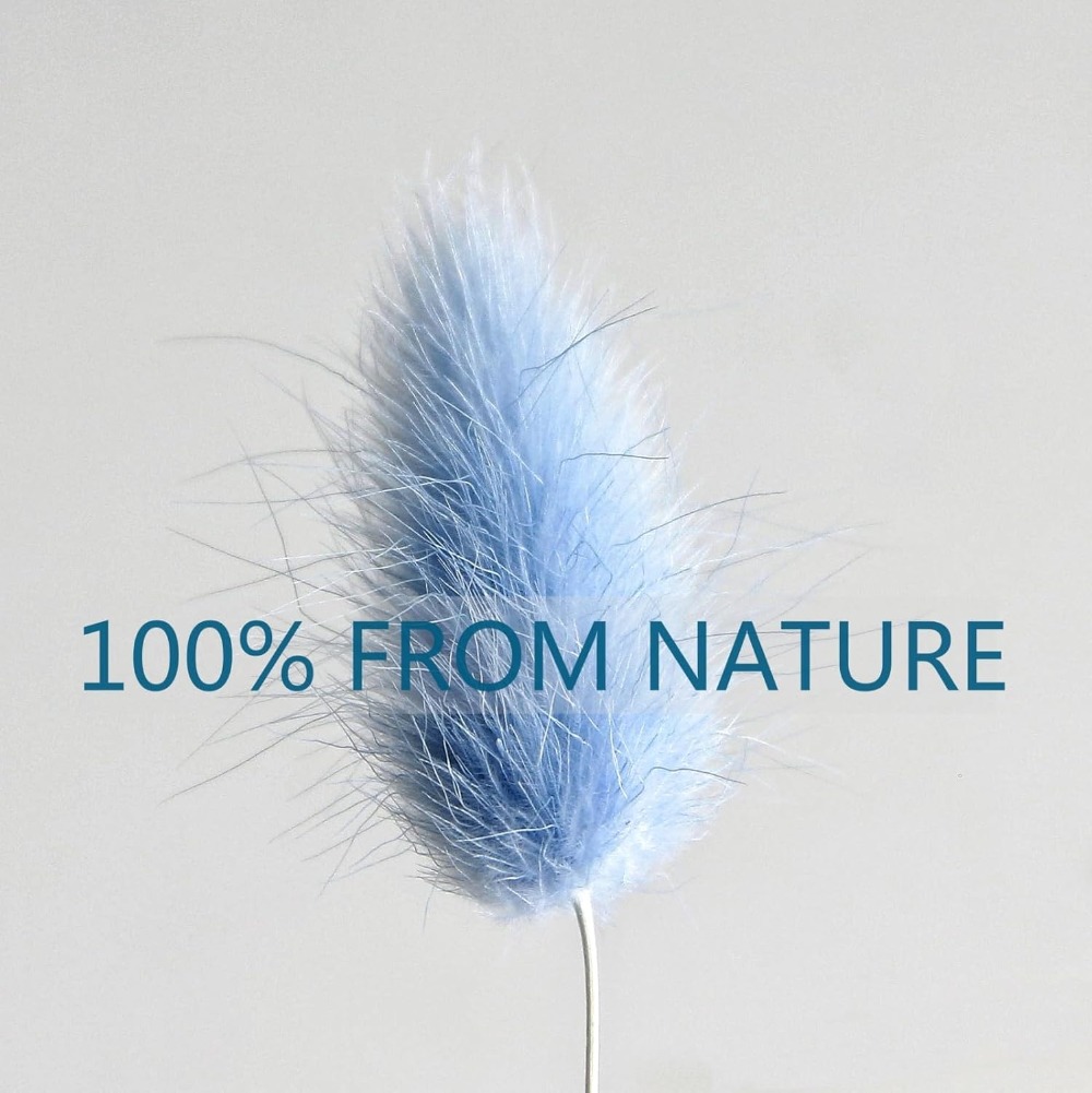 100PCS Blue Hare's-tail Grass  - Florist Supply Vases review and price